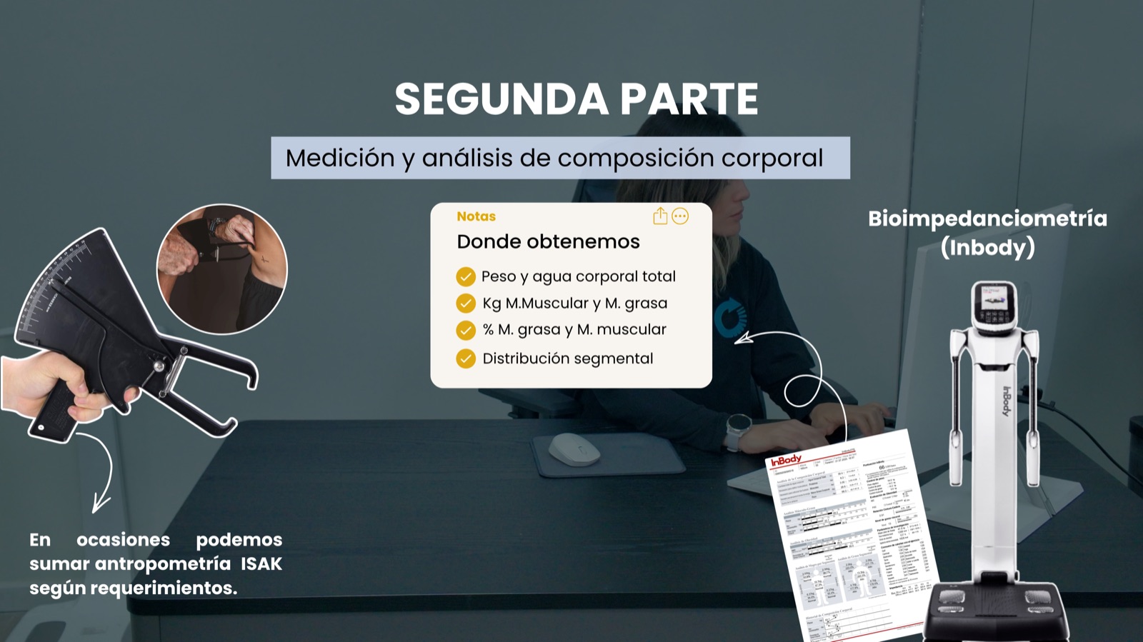 Segunda parte: medición y análisis de composición corporal